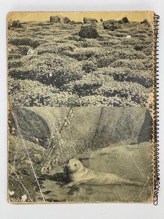 Cornwall Illustrated