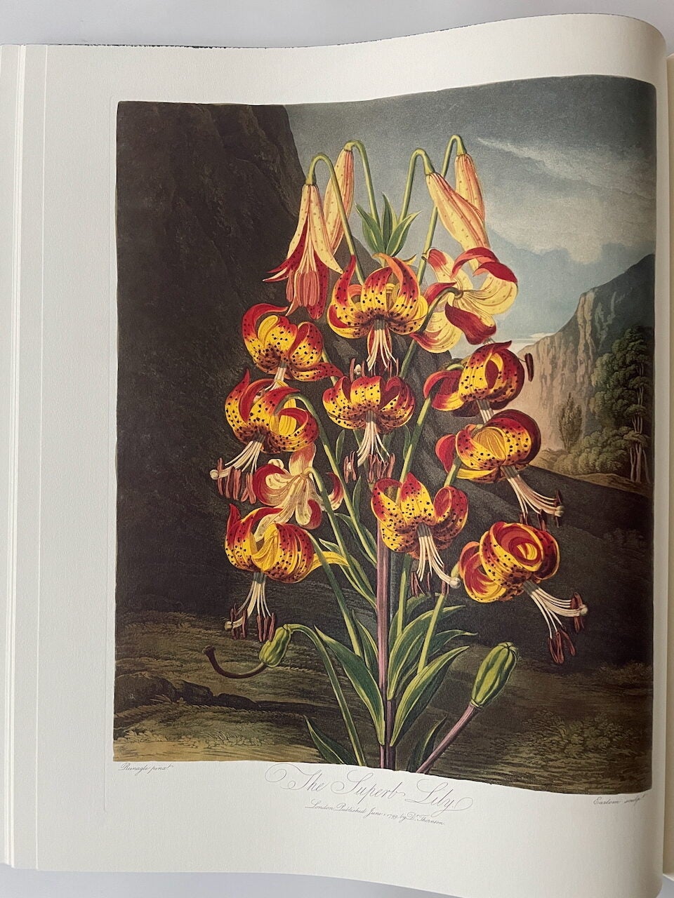 The Temple of Flora | Robert John Thornton, Stephen Harris