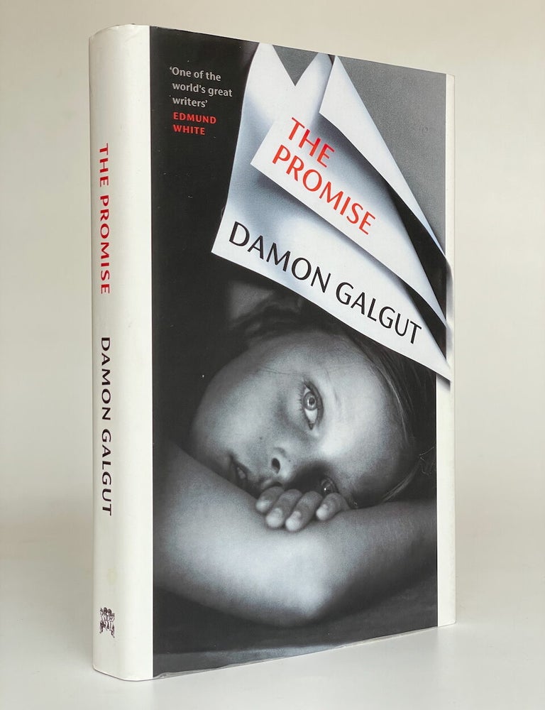 Item #9135 The Promise. Damon Galgut.