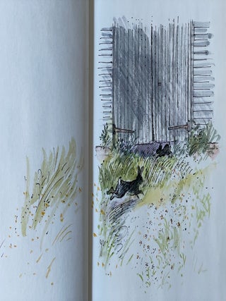 Watership Down