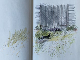Watership Down