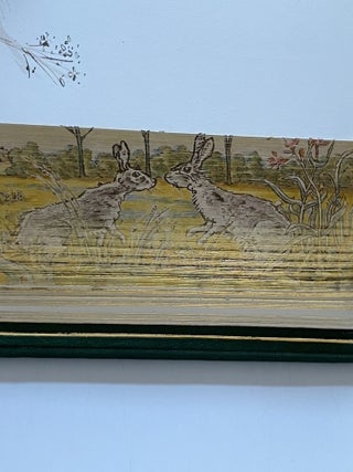 Watership Down