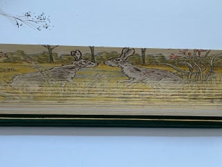 Watership Down